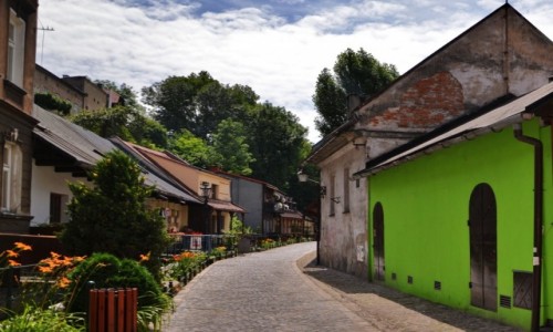 Zdjecie POLSKA / lsk cieszyski / Cieszyn / Ul. Przykopa II