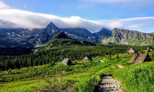 Zdjecie POLSKA / TATRY / Hala Gsienicowa  / Kocielec