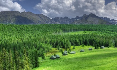 Zdjęcie POLSKA / Małopolska / Tatry / Hala pod Wielkim Kopieńcem