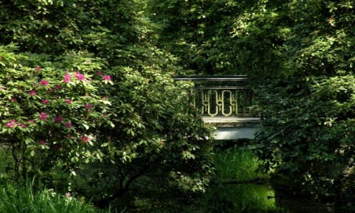 Zdjecie POLSKA / opolskie / Moszna / Rododendrony i mostek.