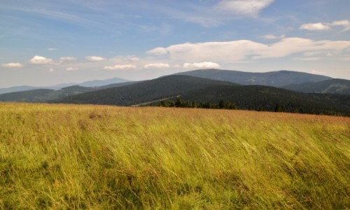 Zdjcie POLSKA / Beskid ywiecki / Rysianka / Widok na Babi i Pilsko