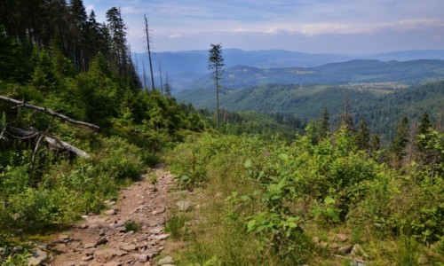 Zdjecie POLSKA / Beskid ywiecki / szlak na Rysiank / Widok na Beskid lski