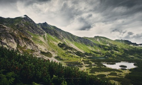 Zdjcie POLSKA / Tatry / Grzdy / Grzdy