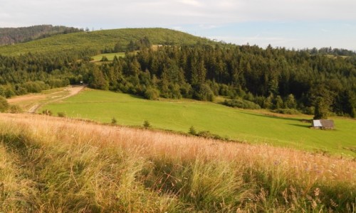 Zdjcie POLSKA / Beskid ywiecki / Hala Boracza / Sielsko anielsko