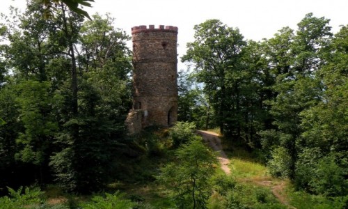 Zdjcie POLSKA / dolnolaskie / Bukowiec / Wiea widokowa w Bukowcu