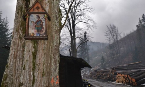 Zdjcie POLSKA / Beskid ywiecki / Rycerka / w. Florian