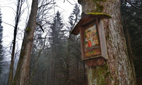 Zdjcie POLSKA / Beskid ywiecki / Rycerka / w. Wawrzyniec
