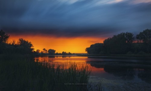 Zdjcie POLSKA / Wielkopolska / Wrzenia / Skyfall (2)