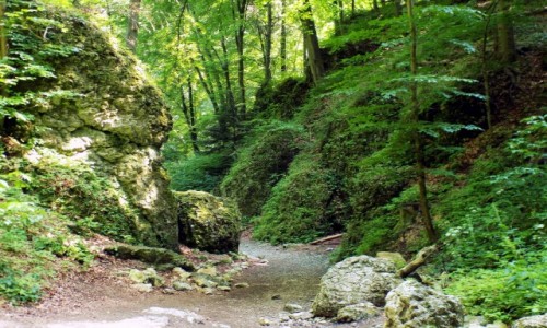Zdjcie POLSKA / Maopolska / Ojcowski Park Narodowy /  Wwz Ciasne Skaki 