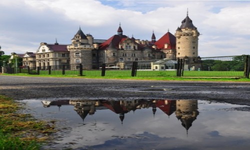 Zdjecie POLSKA / opolskie / Moszna / Paacowa kaua