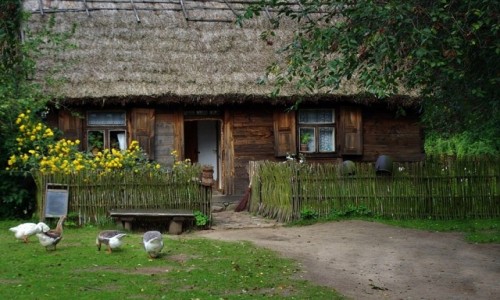 Zdjecie POLSKA / mazowsze / Sierpc / Sielski ywot