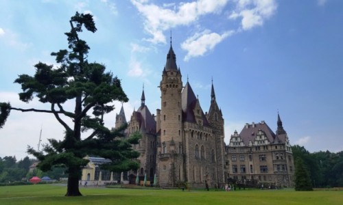 Zdjecie POLSKA / Opolskie / Moszna / Co dla ksiniczki
