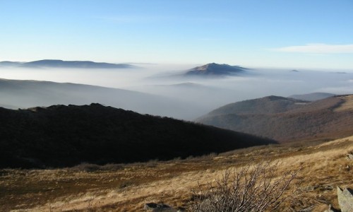 Zdjcie POLSKA / Bieszczady / widok z Bukowego Berda / Bieszczady ponad chmurami