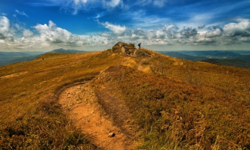 Zdjecie POLSKA / Bieszczady / Bieszczady / Bukowe Berdo