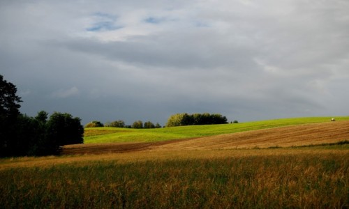 Zdjcie POLSKA / Suwalszczyzna / Postawelek / moja Suwalszczyzna