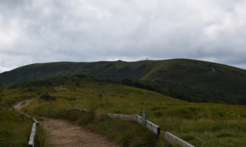 Zdjecie POLSKA / Bieszczady / Bieszczady / W drodze na Wielk Rawk 