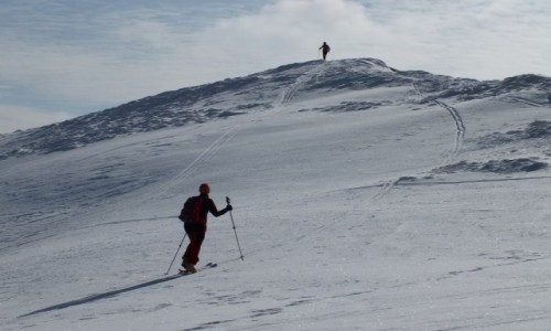 Zdjęcie POLSKA / Bieszczady / Droga na Tarnicę / Droga na Tarnicę