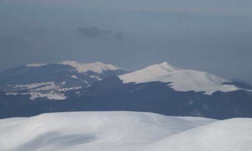 Zdjęcie POLSKA / Bieszczady / widok z Tarnicy / Widok na Połoniny
