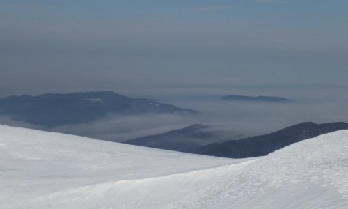 Zdjcie POLSKA / Bieszczady / Tarnica / Widok z Tarnicy