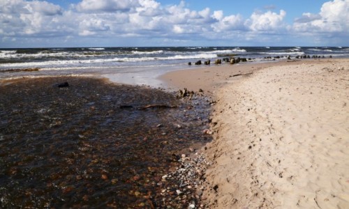 Zdjęcie POLSKA / Wybrzeże Słowińskie / Orzechowo / Orzechówka I