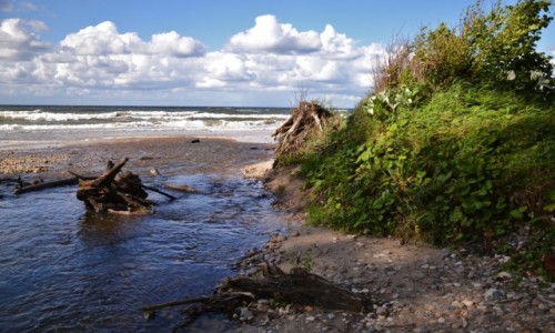 Zdjęcie POLSKA / Wybrzeże Słowińskie / Orzechowo / Orzechówka II