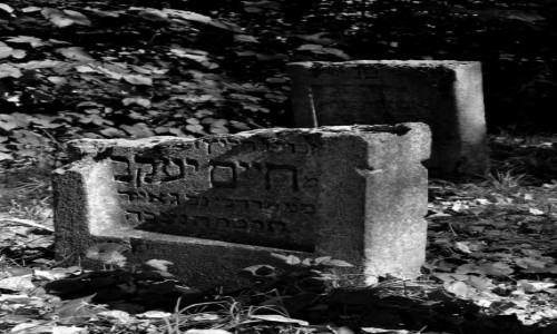 Zdjęcie POLSKA / Woj. podkarpackie, pow.leżajski / Leżajsk / Resztki...