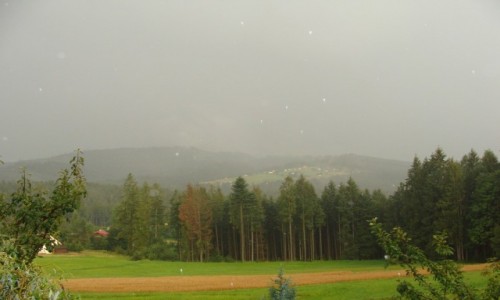 Zdjcie POLSKA / Beskid ywiecki / Laliki / W deszczu