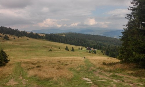 Zdjecie POLSKA / beskid ywiecki / .. / Hala Rycerzowa