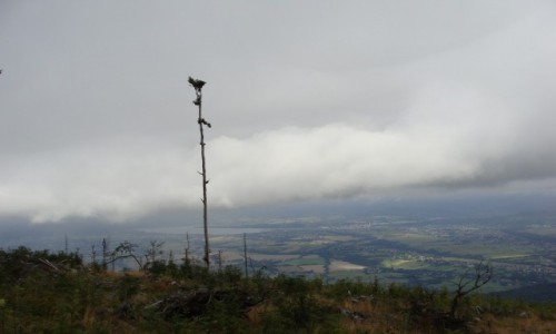 Zdjcie POLSKA / Beskid Slski / Skrzyczne / Ze szlaku