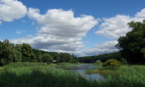 Zdjcie POLSKA / Wielkopolska / Gouchw / Park -Arboretum -