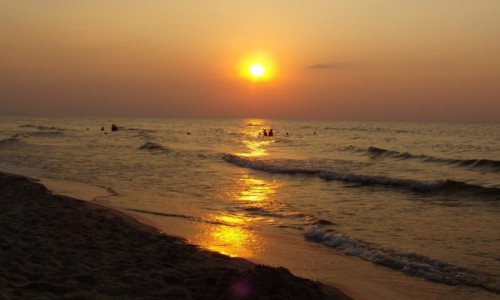 Zdjęcie POLSKA / pomorskie / Sztutowo /  zachód słońca