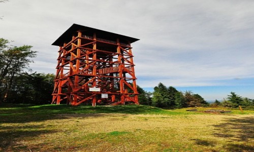 Zdjęcie POLSKA / Beskid Sądecki / Eliaszówka, wieża widokowa / Wieża