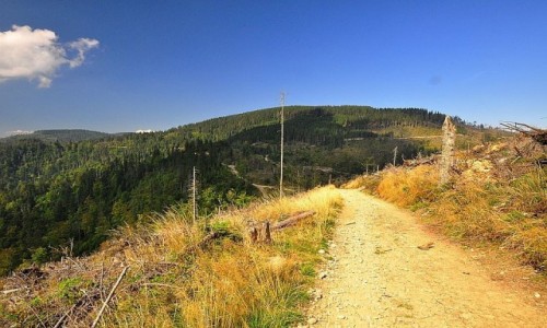 Zdjecie POLSKA / Beskid Sdecki / Radziejowa, najwyszy szczyt Beskidu Sdeckiego, nalecy do Korony Gr Polskich  / Szczyt