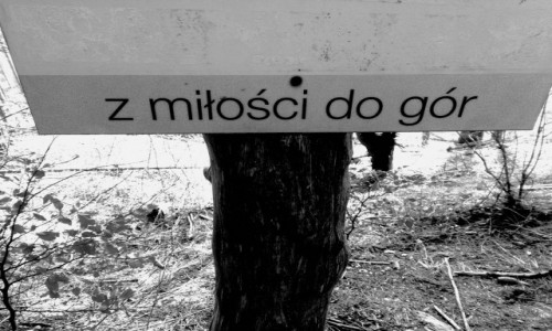 Zdjcie POLSKA / Tatry / W drodze na Nosal  / Go home Moosie, you're tired...