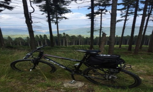 Zdjecie POLSKA / -Góry Sowie / Góry Sowie / W Górach Sowich