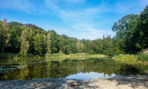 Zdjcie POLSKA / Opolskie / Moszna / Spacer dookoa paacu