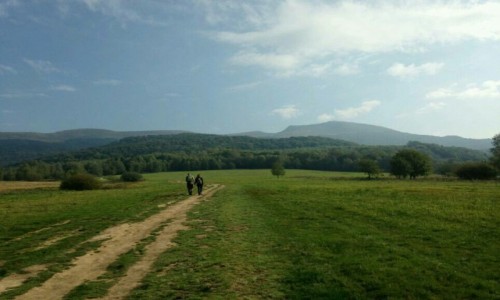 Zdjecie POLSKA / Bieszczady  / Bieszczady  / W drodze na Tarnic