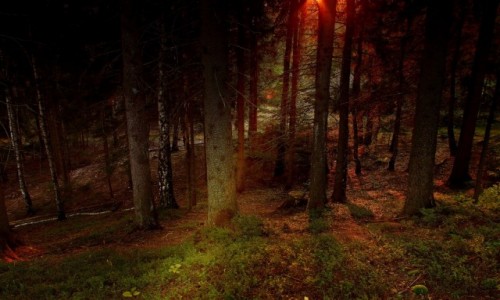 Zdjcie POLSKA / Beskid lski / Wisa / Umykajca chwila...