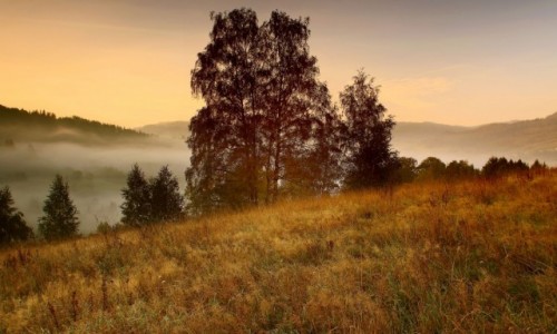 Zdjcie POLSKA / Beskid lski / Wisa / Krajobraz Beskidu lskiego.
