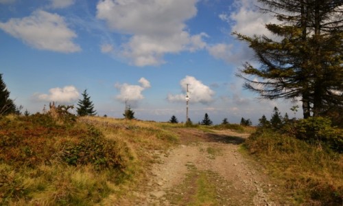 Zdjcie POLSKA / Beskid May / Potrjna / Pod szczytem