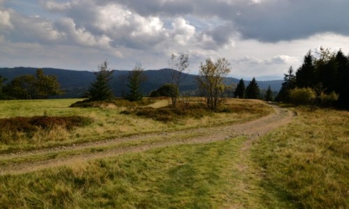 Zdjcie POLSKA / Beskid May / okolice Potrjnej / Pasmo Madahory