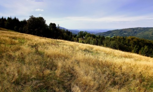 Zdjcie POLSKA / Beskid lski / Trzy Kopce / Trzy Kopce Wilaskie-Pooniny