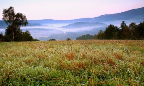 Zdjecie POLSKA / Beskid lski / Wisa / Mglista dolina