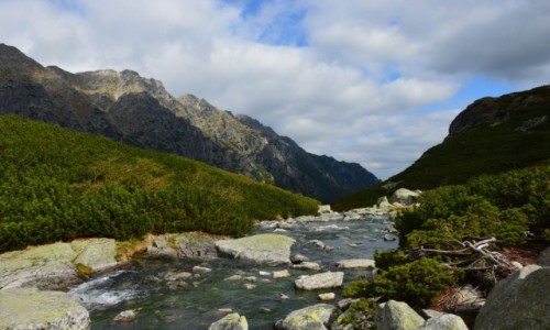 Zdjecie POLSKA / Tatry Wysokie / na mostku / Tatry