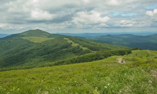 Zdj�cie POLSKA / wojew�dztwo podkarpackie / Bieszczady, Po�onina Wetli�ska / zielone maj� poj�cie a nawet zielony kielonek