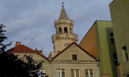 Zdjecie POLSKA / opolskie / Opole / Ratusz w Opolu