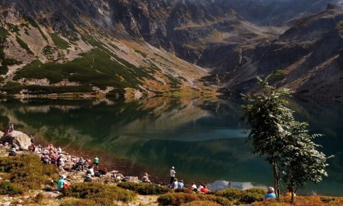 Zdjecie POLSKA / Tatry / Czarny Staw Gsiennicowy / Jarzbinka znad Czarnego Stawu