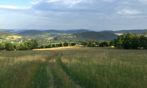 Zdjcie POLSKA / dolnolskie / Leszczyniec / na pograniczu...
