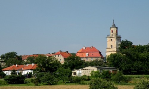 Zdjecie POLSKA / dolnolaskie / Dobromierz / Widok na miasto