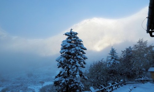 Zdjcie POLSKA / Tatry wysokie / Morskie Oko - Szpiglasowa / TATRY